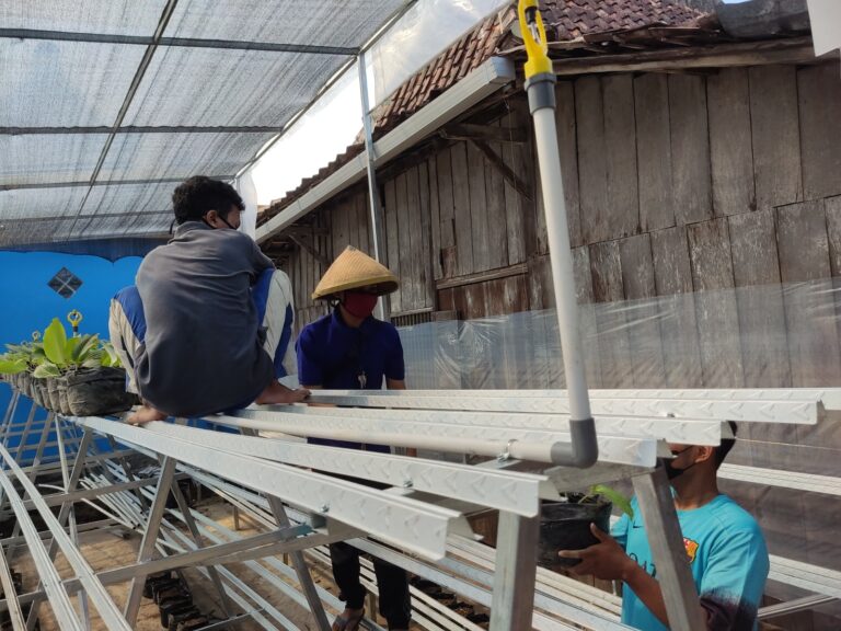Mahasiswa FMIPA Manfaatkan Teknologi Greenhouse Untuk Program Kampung Tematik di Kabupaten Demak